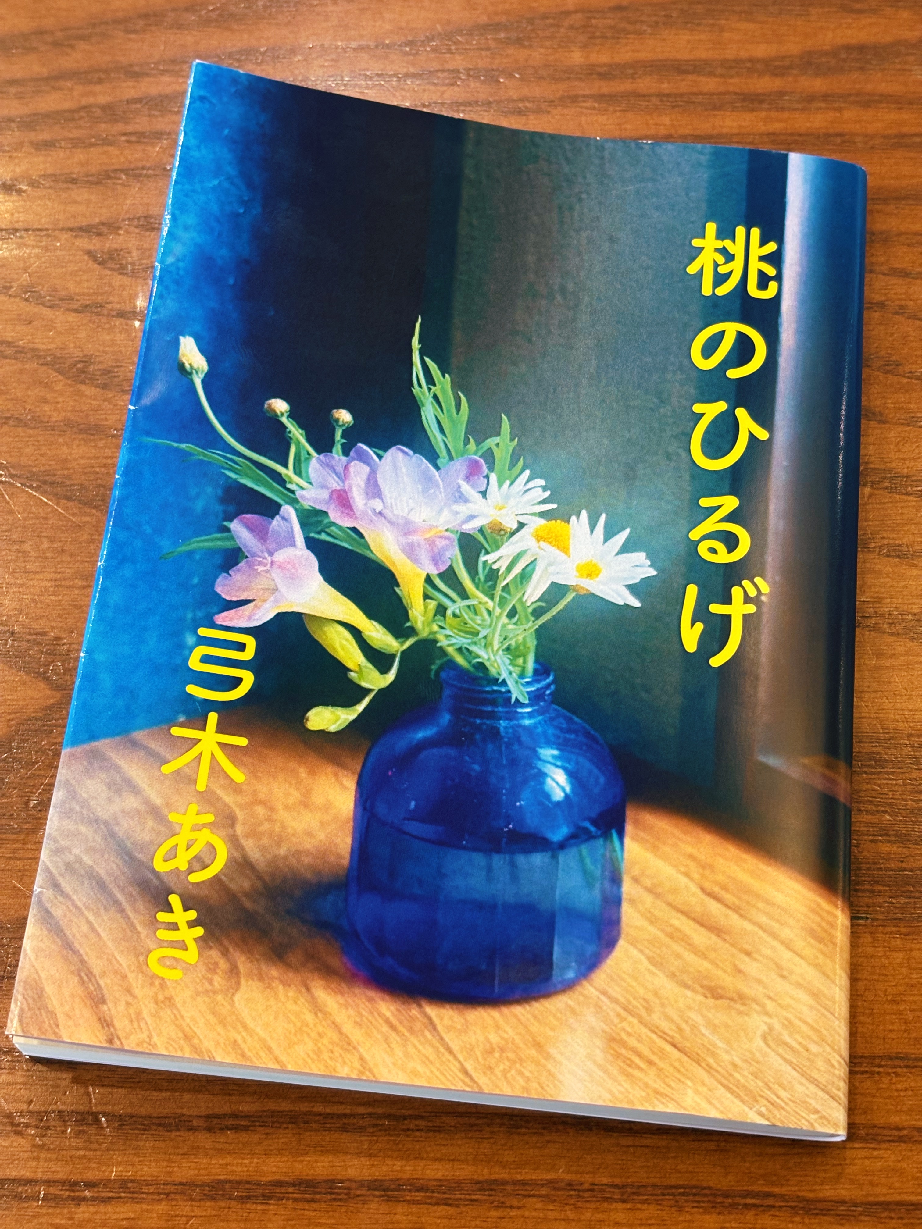 小説集『桃のひるげ』書影